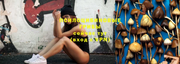 молекула духа Беломорск